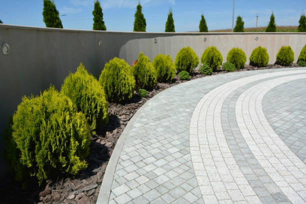 Professional Driveway Pavers in Cave City, AR